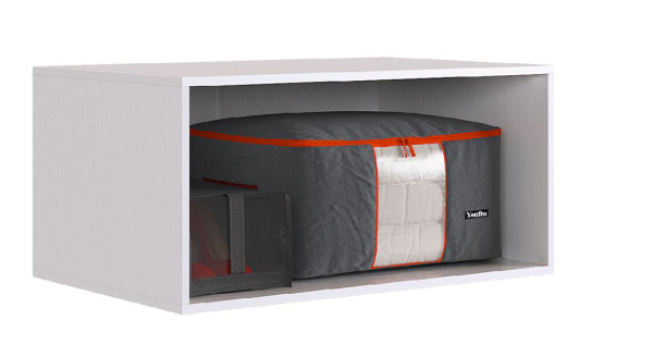 Ева Антресоль 2дв/116.01/Белое дерево/Белый матовый